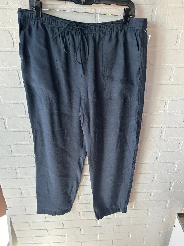 Cozy fleece pants for cold winter nights -Pants Joggers By Zara In Blue, Size: 14